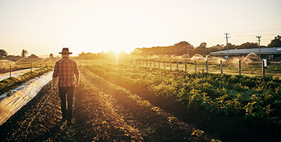 Beneficios para Agro