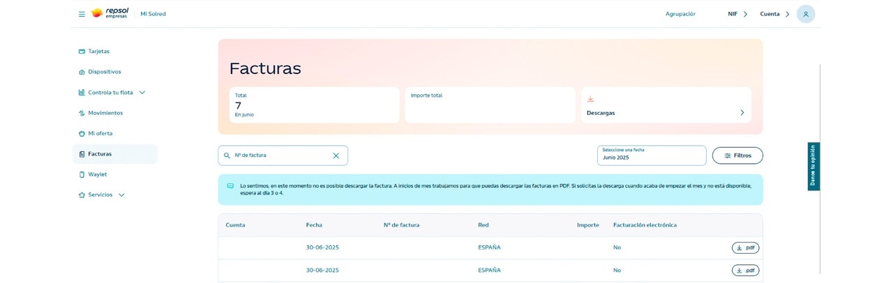 Descargar factura solred