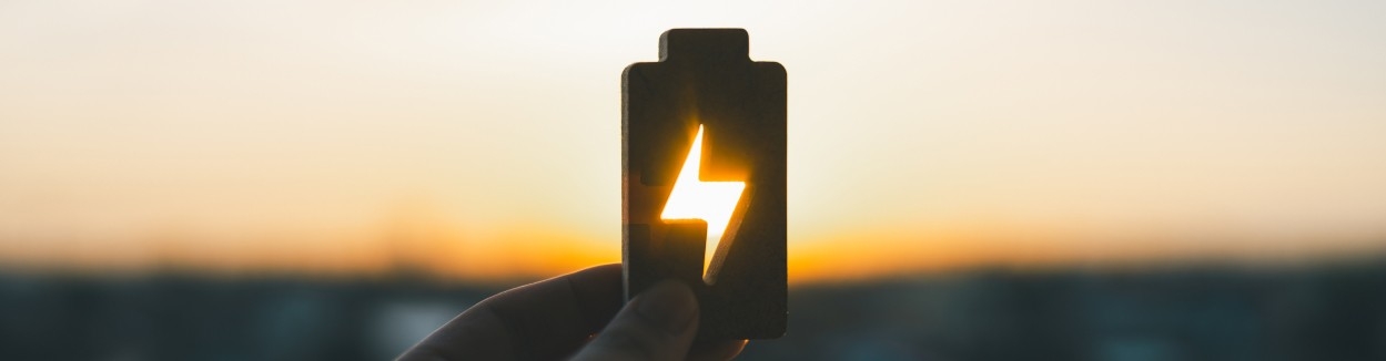 ¿Qué es un vector energético?  