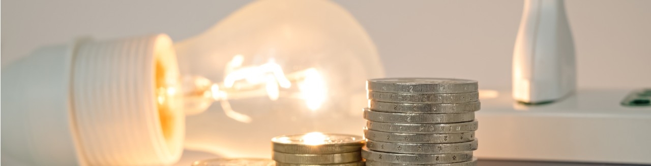mercado libre y regulado