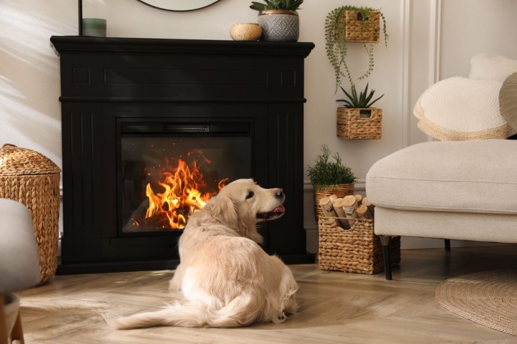 Chimeneas eléctricas: cómo funcionan y cuánto consumen  