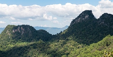 Cordillera azul