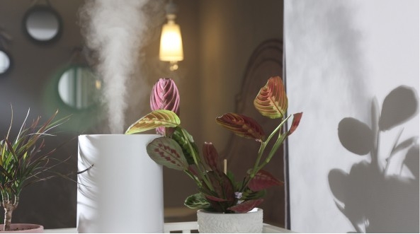 ¿Cuánto consume un humidificador?  