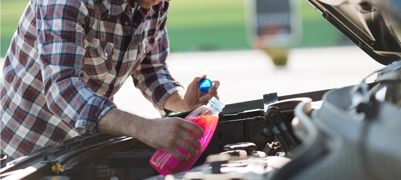 alcanzar pastor Sin valor Cómo puedes cambiar el anticongelante del coche | Repsol