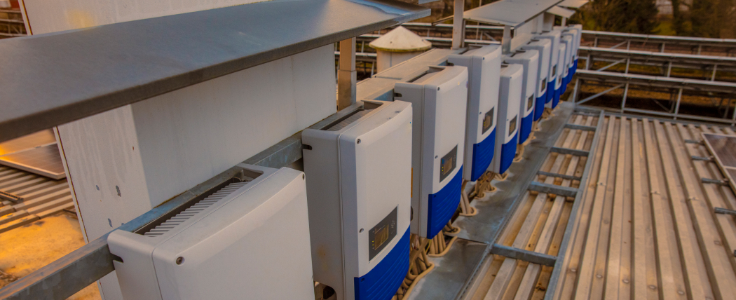 ¿Qué es un vector energético