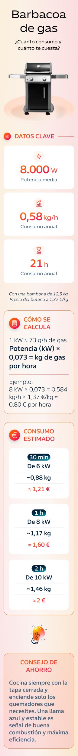 Infografía: consumo de una barbacoa de gas