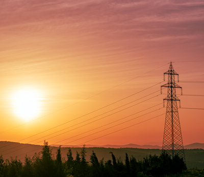 Elige tu energía renovable