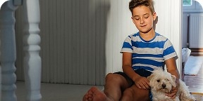 aerotermia,movilidad electrica