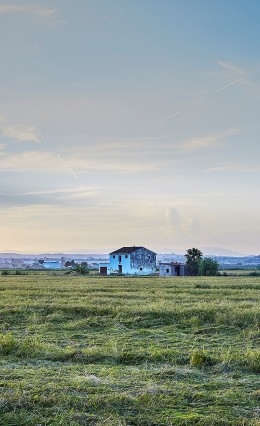 molino de roca arroces