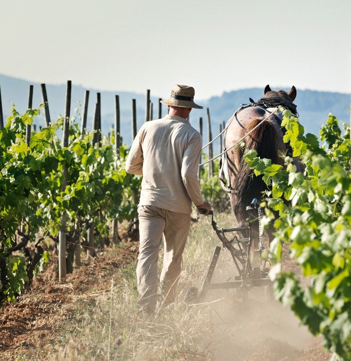 bloque-contenido-l-bodega-recadero.jpg