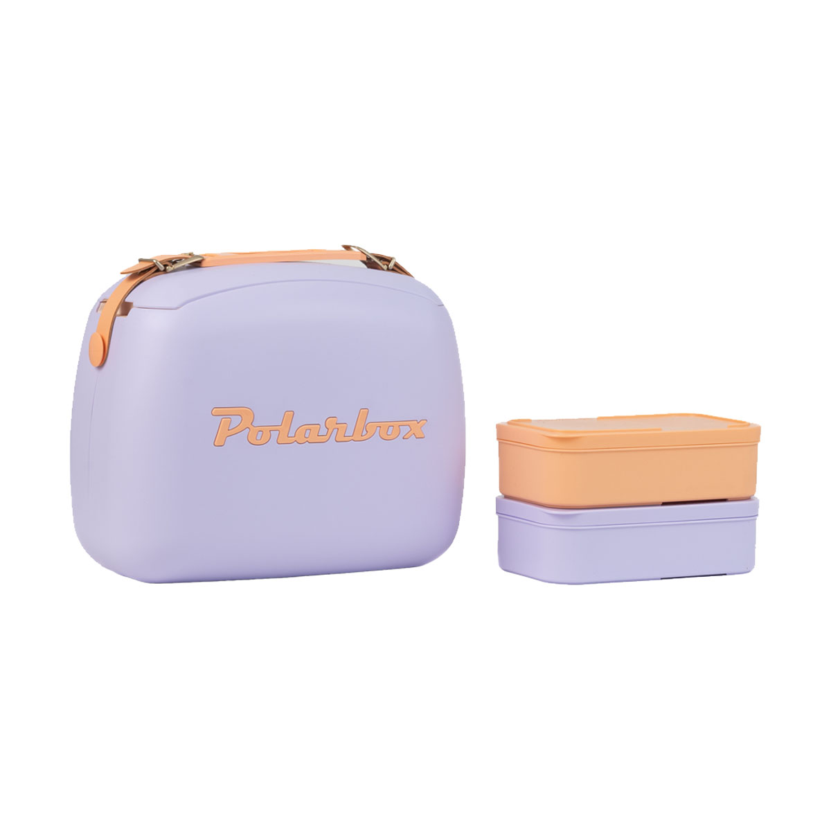 Nevera Polarbox 6 litros