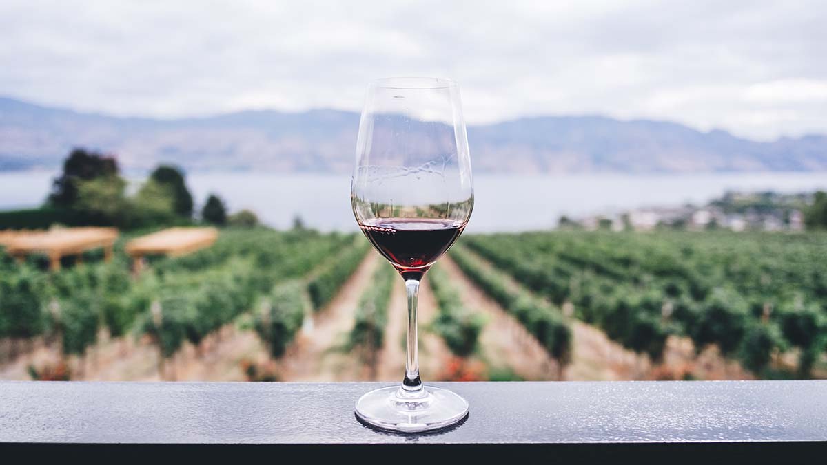 Visita a bodega con cata de vinos