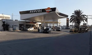 E.S. RUYTOL LA VEGA